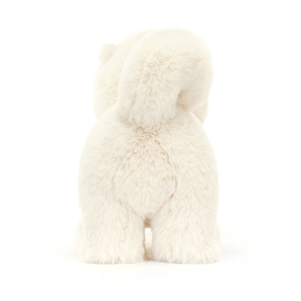 Daphne Pomeranian, View 3