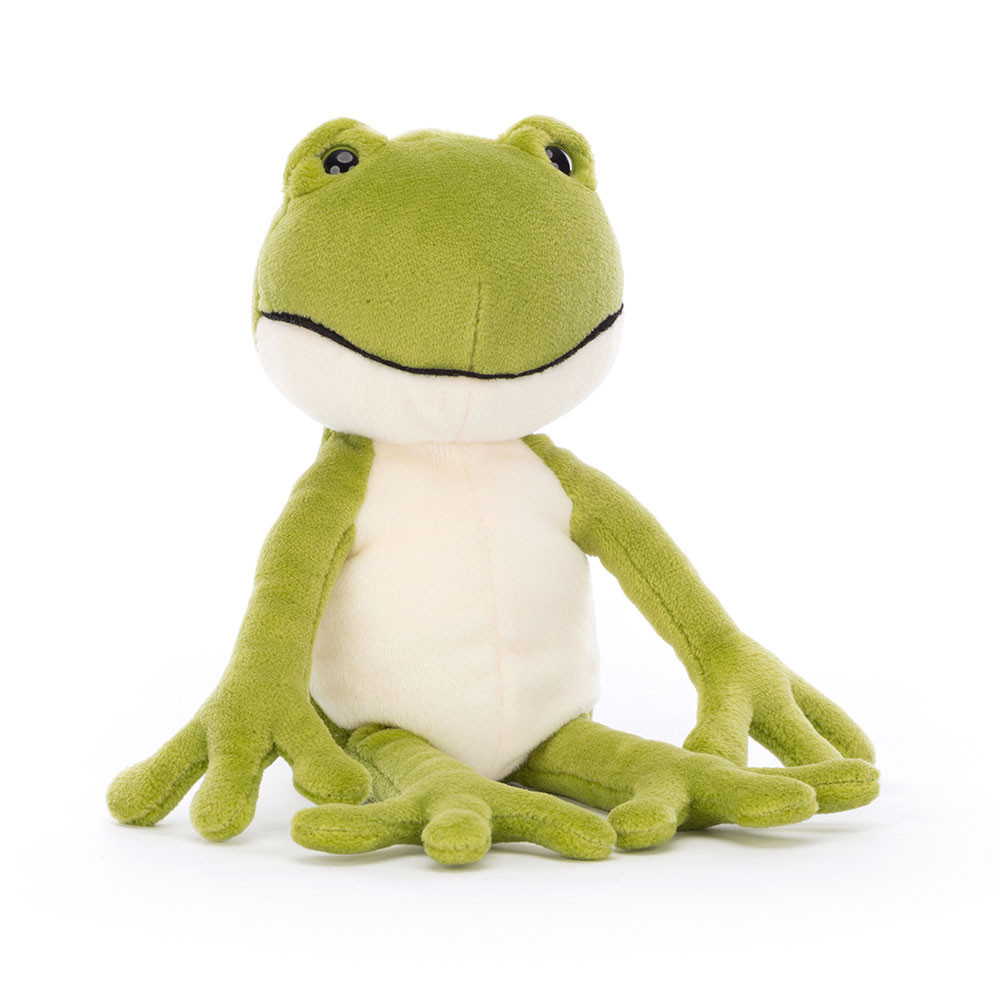 Finnegan Frog, Main View