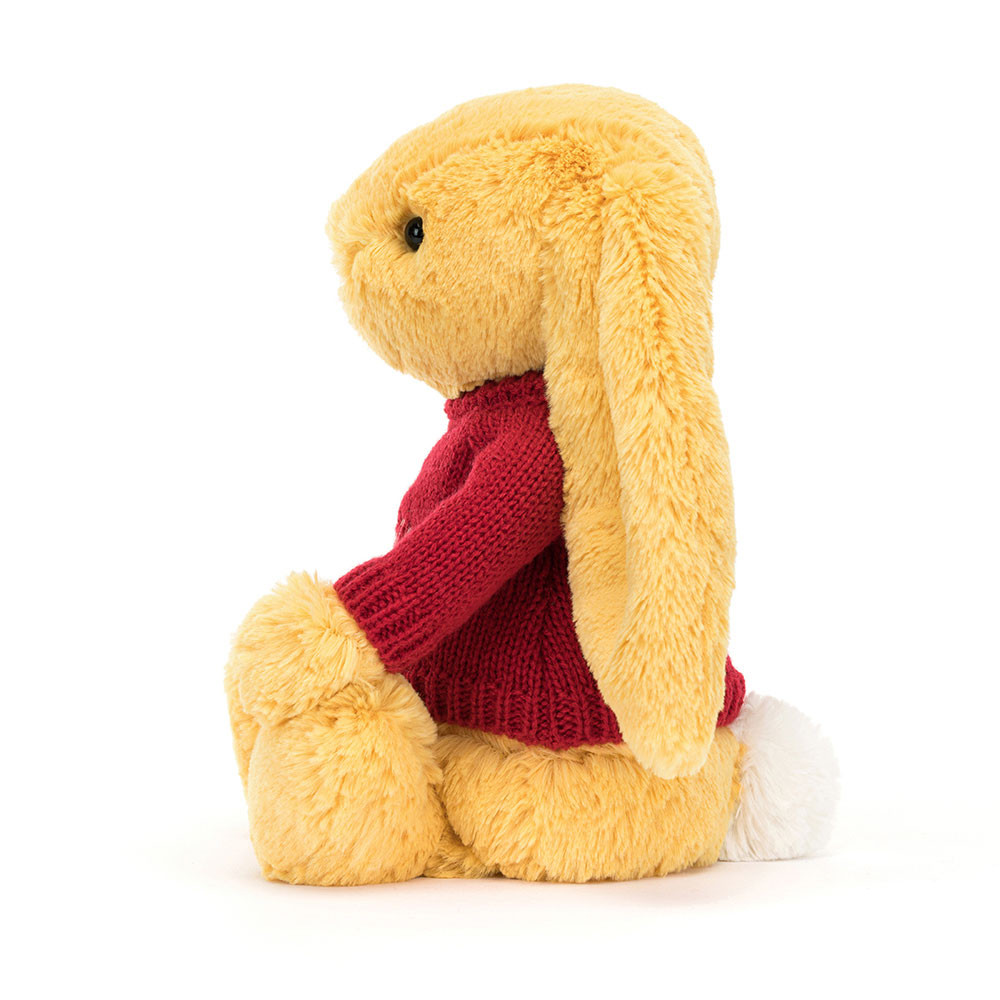 Bashful Sunshine Bunny with Personalised Red Jumper, View 2