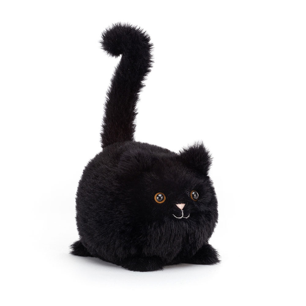 Kitten Caboodle Black, Main View