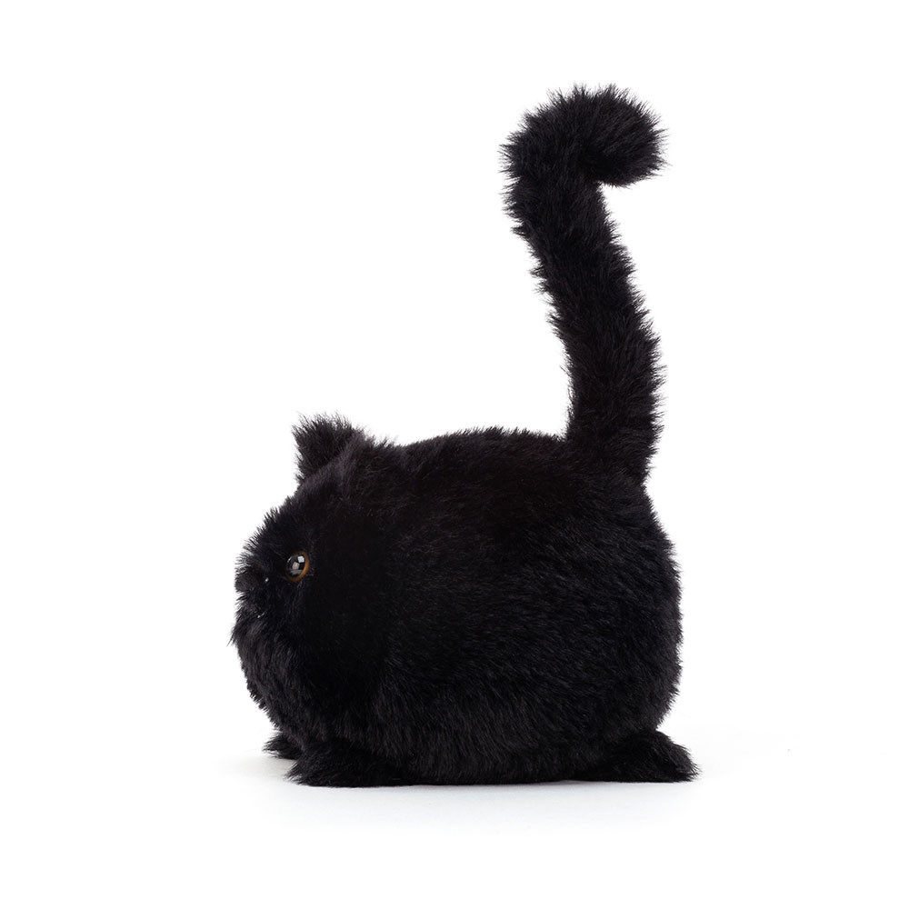 Kitten Caboodle Black, Main View