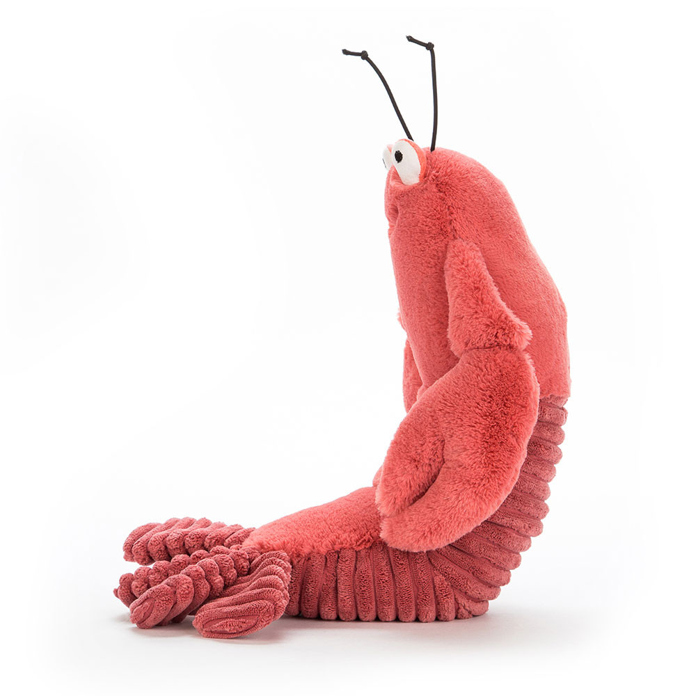 Larry Lobster Small, Main View