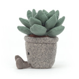 Silly Succulent Azulita, View 2