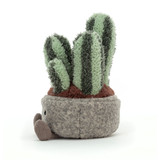 Silly Succulent Columnar Cactus, View 2