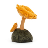 Wild Nature Chanterelle Mushroom, View 2