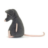 Lachlan Sad Rat, View 2