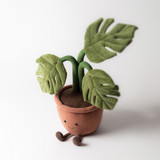 Amuseable Monstera Plant, View 1