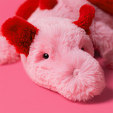 Heart-Dragon, View 1 