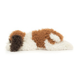 Floofie St Bernard, View 2