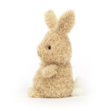 Little Bunny, Main View