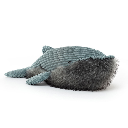 Wiley Whale, Main View Wiley Whale, Main View