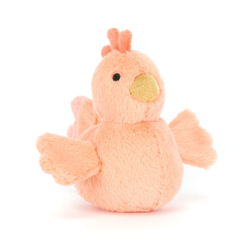 Fluffy Chicken, Main View Fluffy Chicken, Main View