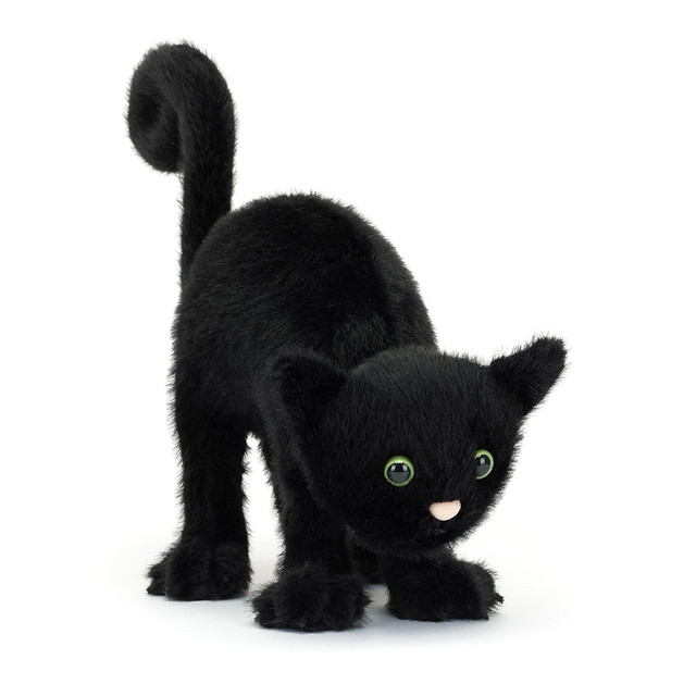Spookipaws Cat
