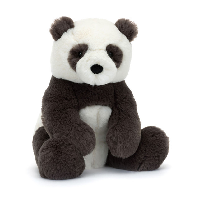 Harry Panda Cub