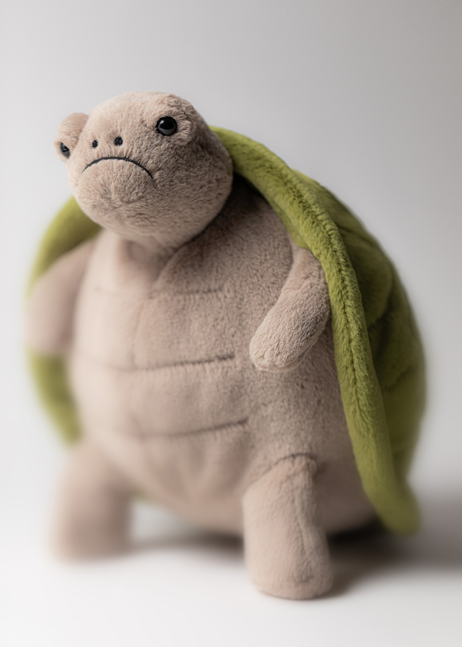 Timmy Turtle