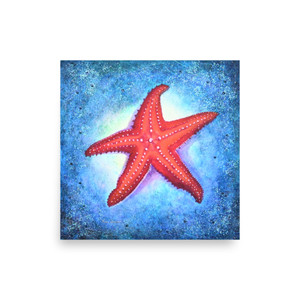 Starfish Paper Print