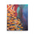 Goldfish Paper Print