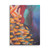 Goldfish Canvas Print