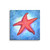 Starfish on Canvas