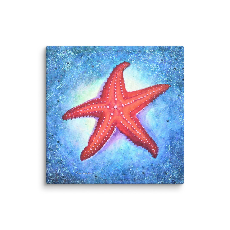 Starfish on Canvas