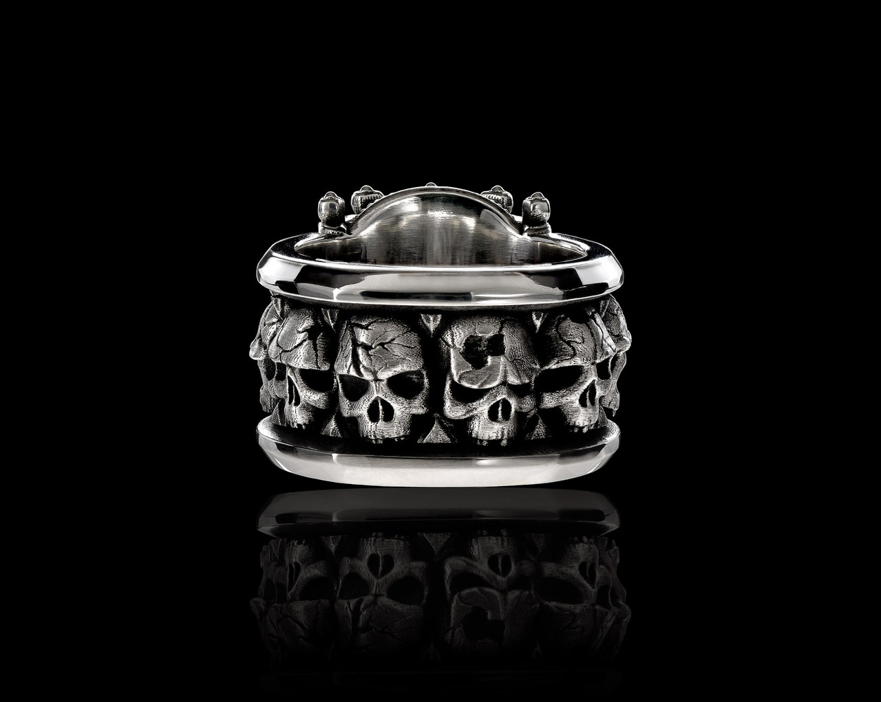 Guardian in the Family Ring | Silver Skull King Ring | NightRider