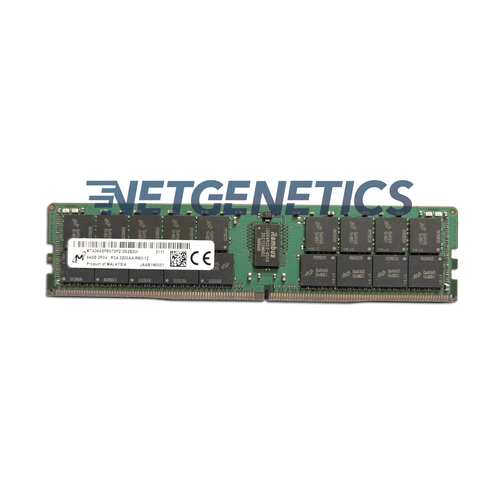 Micron 64GB RAM | NETGENETICS