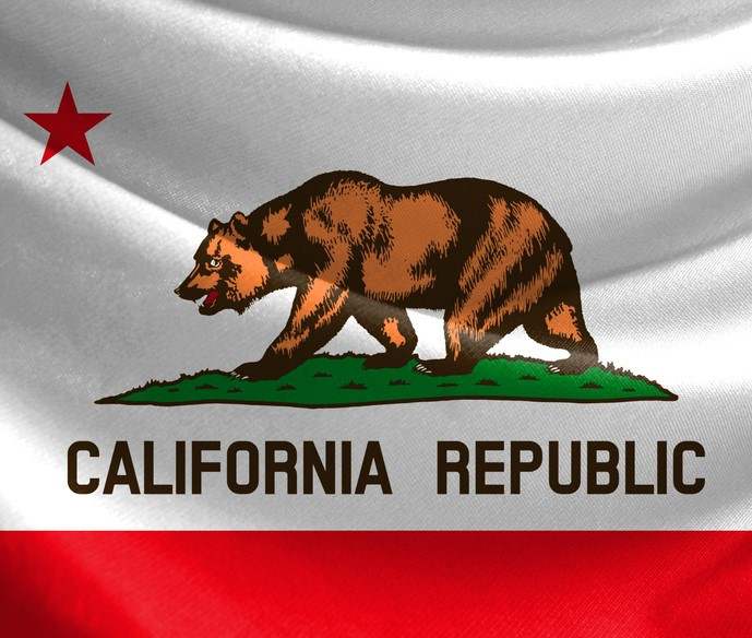 California Cool: Where Business Meets Beach Vibes. It’s National California Day! 