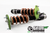 Feal Coilovers, 01-05 Honda Civic SI EP3