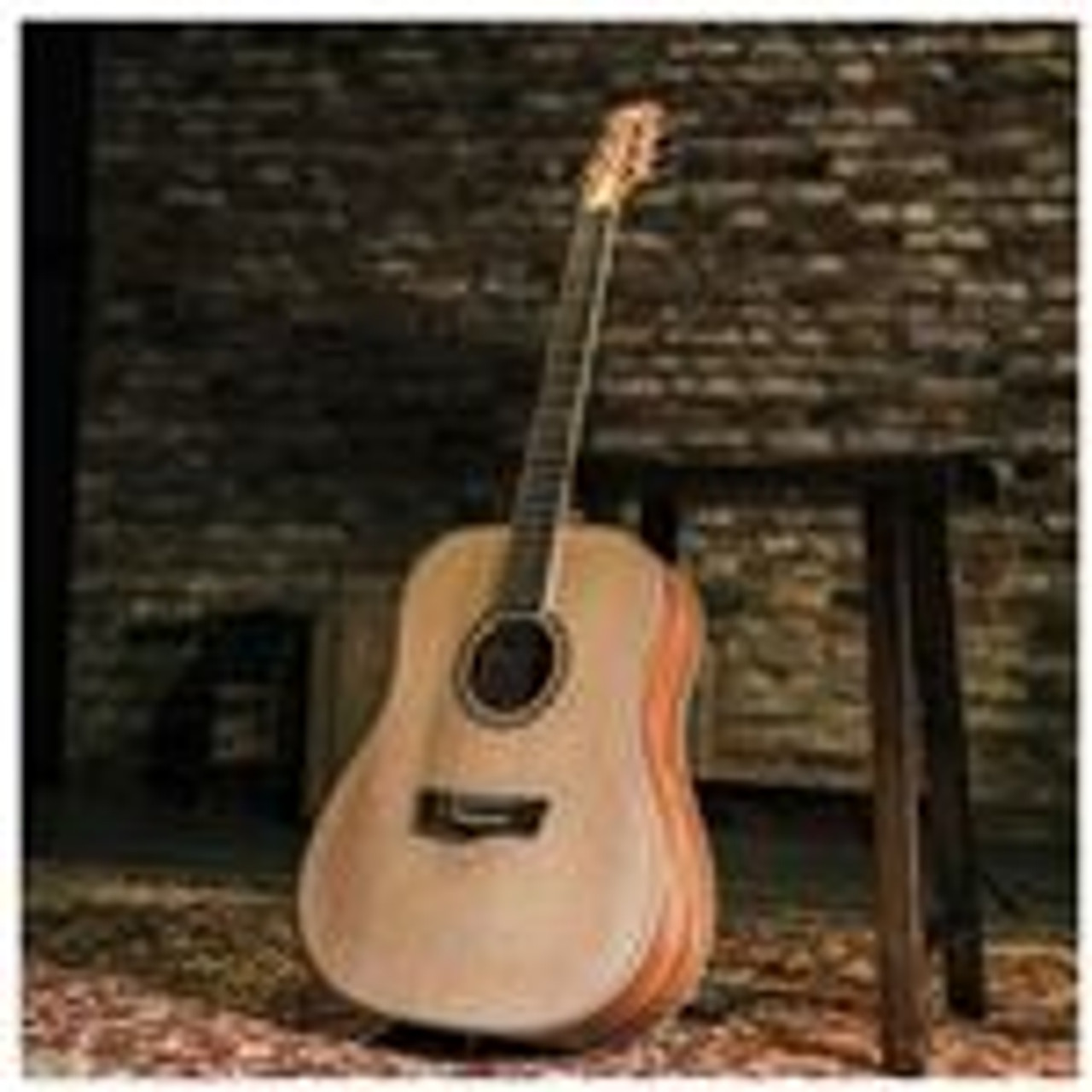 Delta Woods® DW-2 CE™ Solid Top Cutaway Acoustic-Electric Guitar