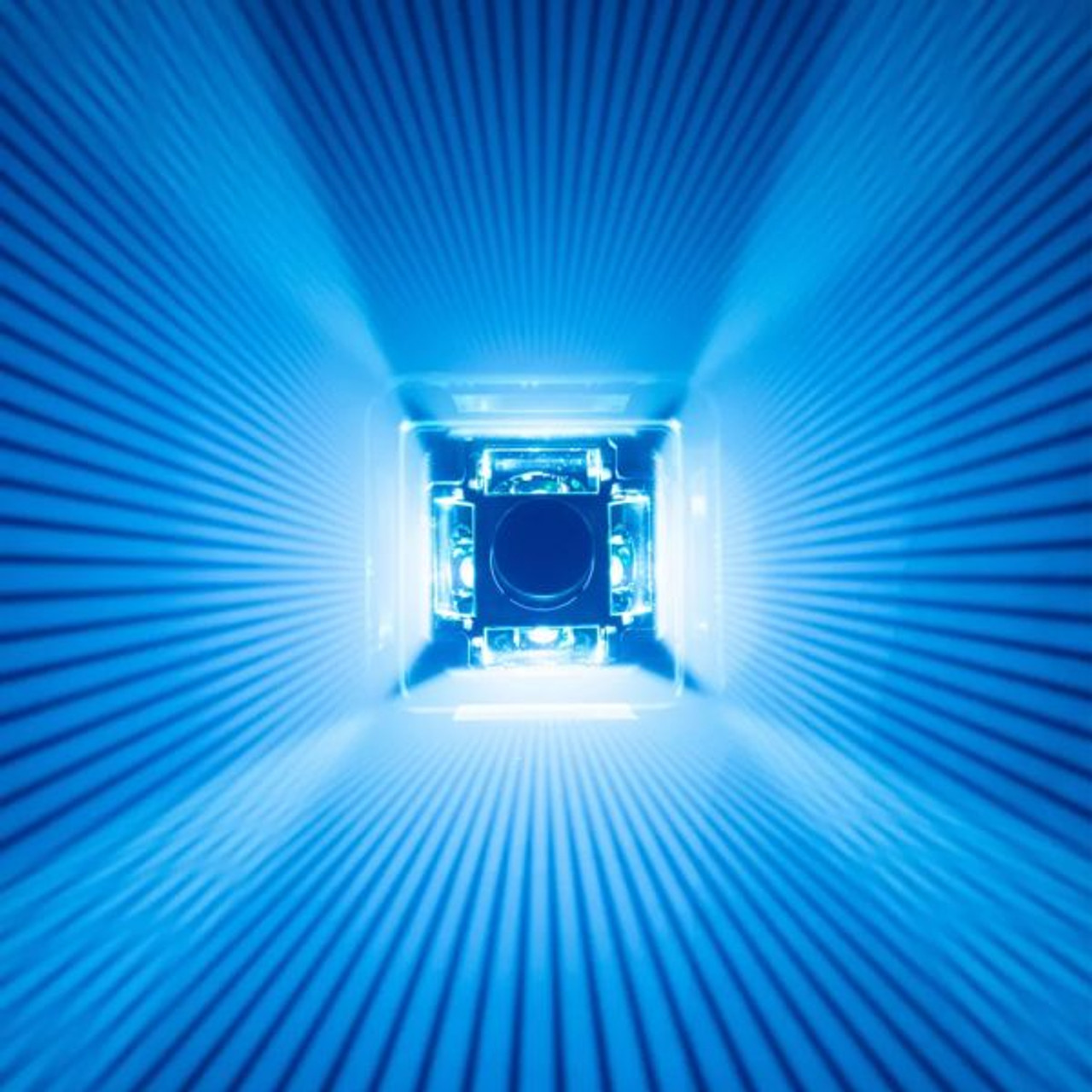 その他 MINUIT UNI IVL IVL dice - Minuit Une