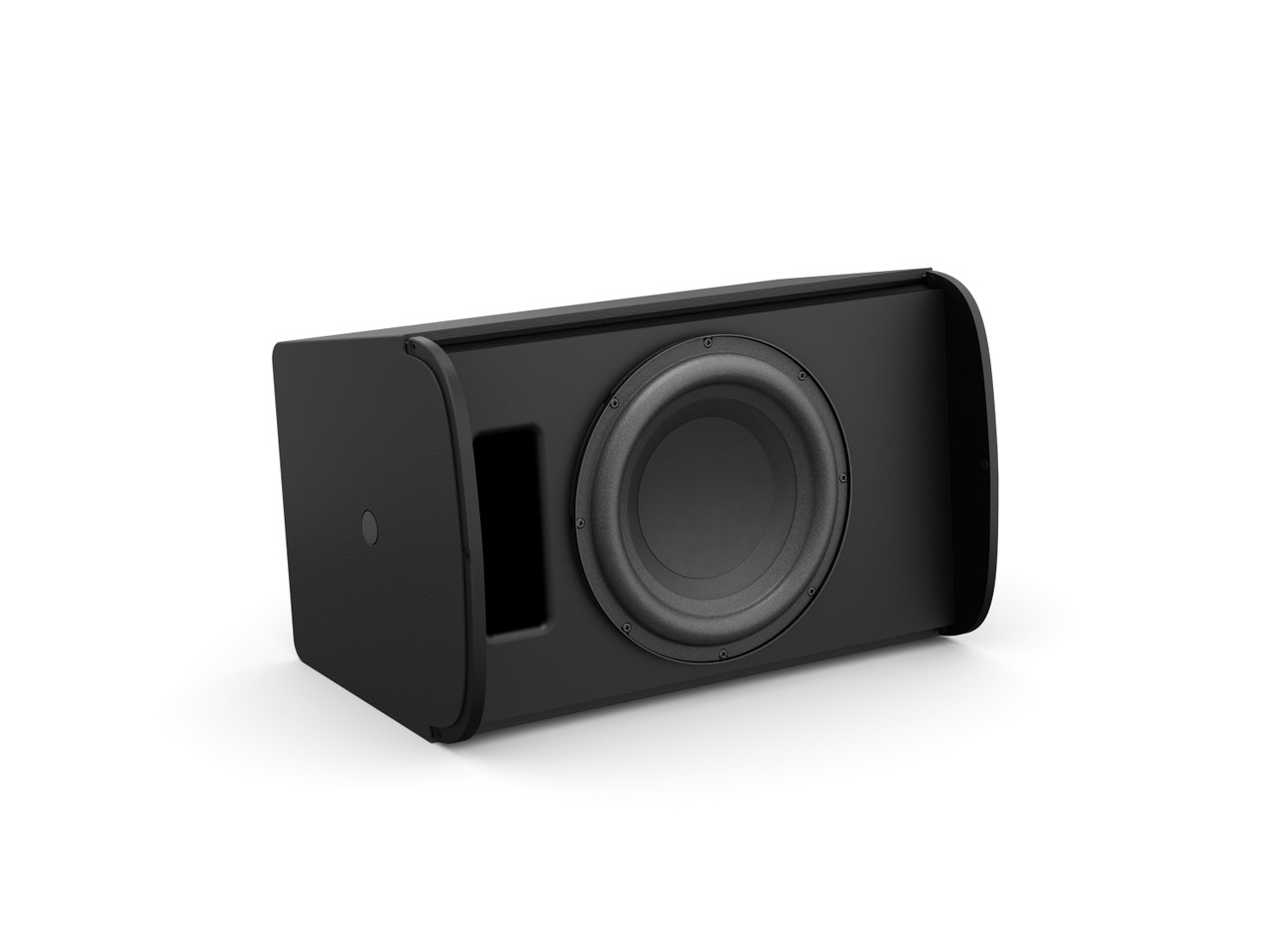 Bose Professional DesignMax DM10S 10