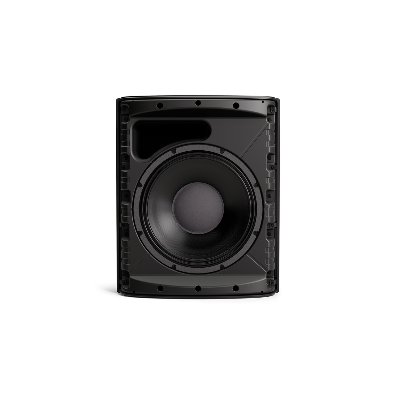 Bose DesignMax DM12SE 12