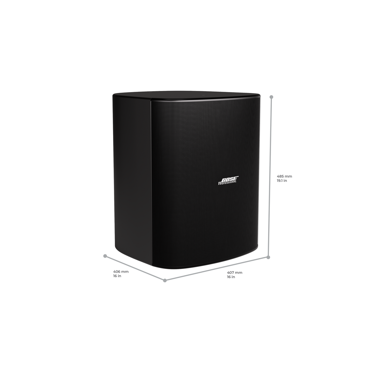 Bose DesignMax DM12SE 12