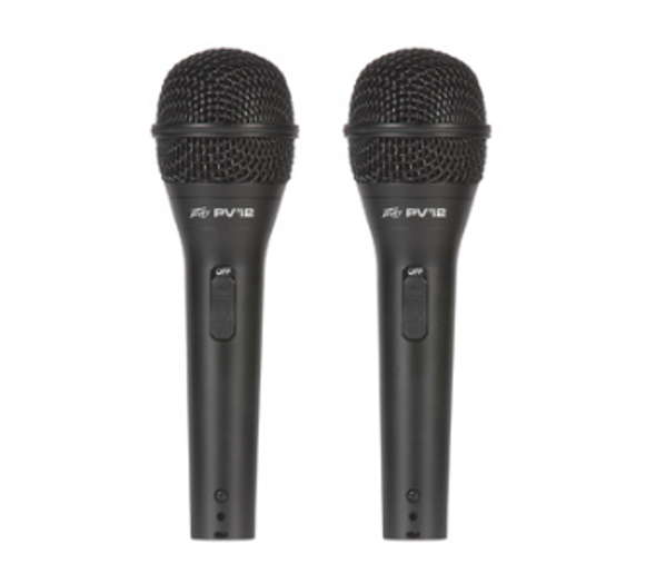 Peavey PVÂi 2 (2 Pack)