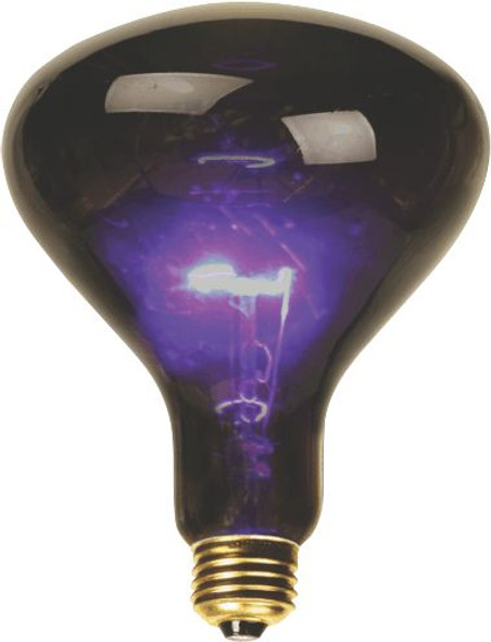DEEJAY LED BL100 - Mushroom Shaped Purple incandescent Light for Standard US Lamp Socket 100 Watts