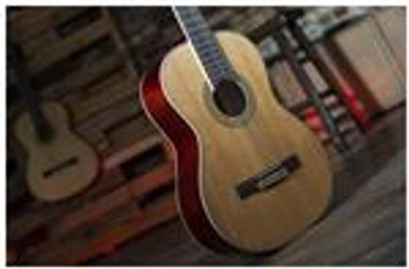 Delta Woods® CNS-2™ Classical Nylon String Guitar - Peavey Electronics  Corporation