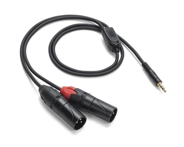Samson SATPADXM83 1/8" TRS (stereo) to dual XLR Male - 3' Breakout cable 