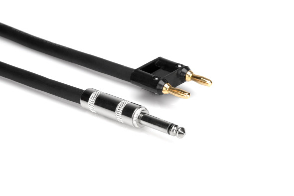 Hosa Technology SKJ-600 Series Banana to 1/4" Phone Speaker Cable (15')