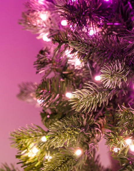 Twinkly Tree, Smart LED Light, Regal Tree, Christmas Decoration, Xmas Light, Big Regal Tree