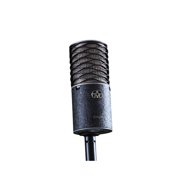 Aston Microphones Spirit Black Bundle Large-Diaphragm Multipattern Condenser Microphone with Swiftshield