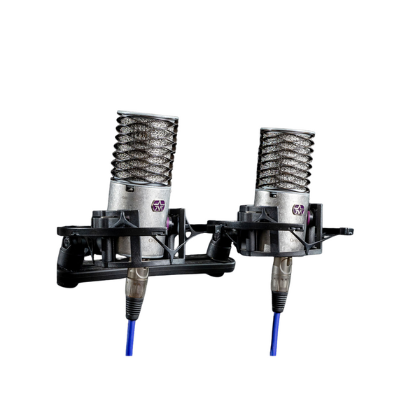 Aston Microphones Origin Large-Diaphragm Cardioid Condenser Microphone (Stereo Pair)