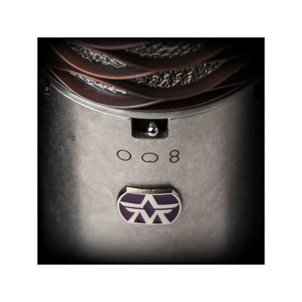 Aston Microphones Spirit Large-Diaphragm Multi-Pattern Condenser Microphone (Stereo Pair)