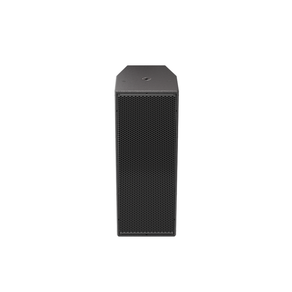 dB Technologies IS210TB Passive IP 55 wooden speaker black finish