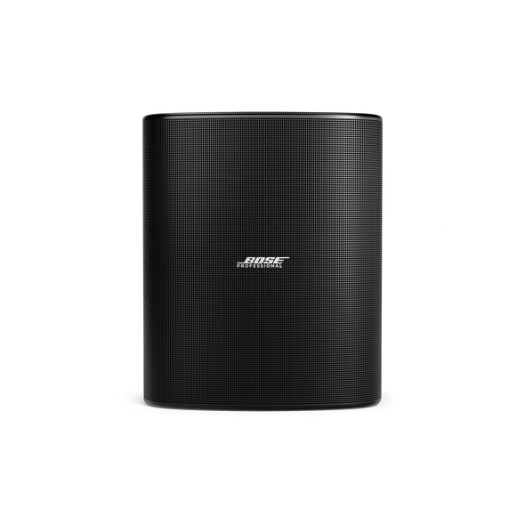 Bose DesignMax DM12SE 12-Inch Coaxial Surface-Mount Loudspeaker