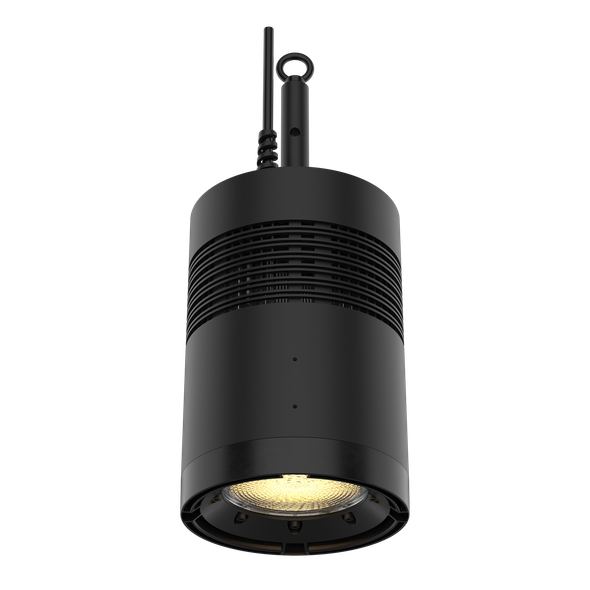 CHAUVET Professional Ovation Rêve H1 Black RGBCAM LED Houselight