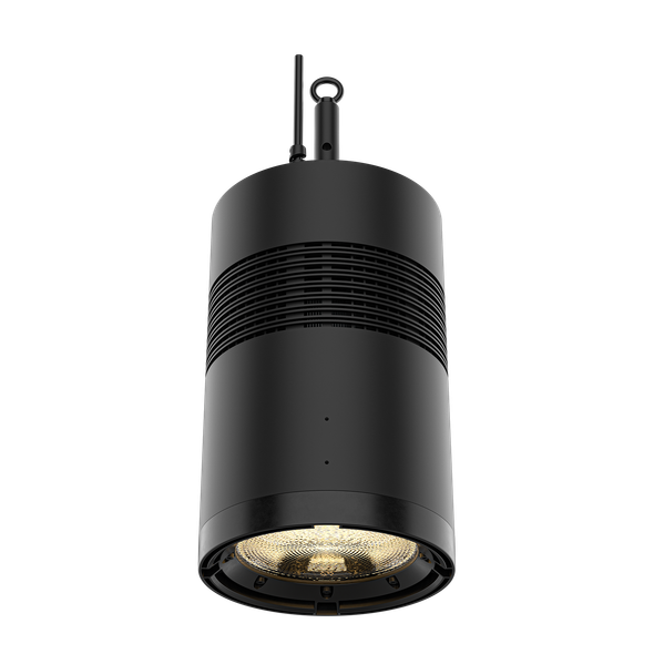  CHAUVET Professional Ovation Rêve H2 Black RGBCAM LED Houselight