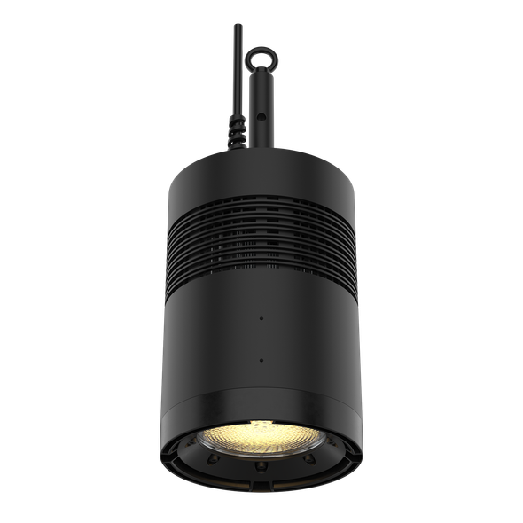 CHAUVET Professional Ovation Rêve H1 White RGBCAM LED Houselight