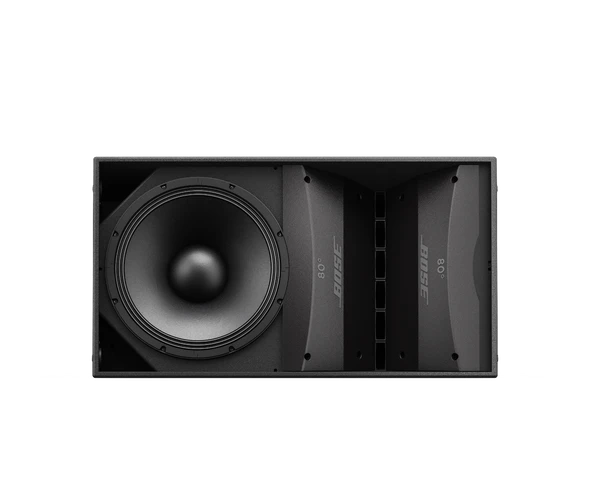 Bose ArenaMatch AM20/100 Outdoor Loudspeaker