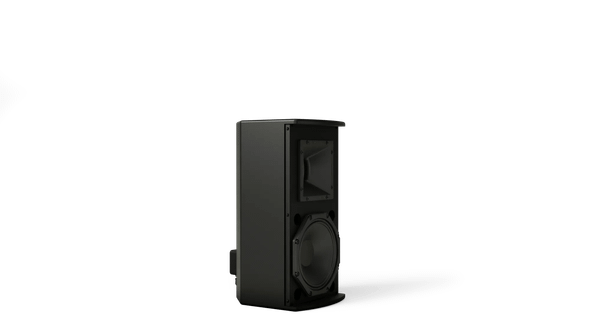 Bose ArenaMatch Utility AMU108-120 Outdoor Loudspeaker Black