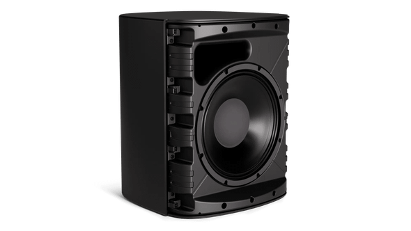 Bose DesignMax DM12SE Black Loudspeaker